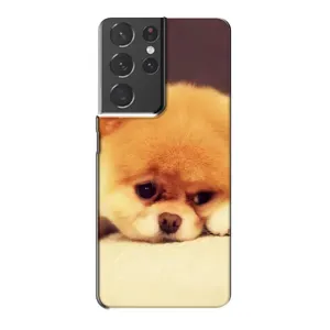 Чехол (ТПУ) Милые собачки для Samsung Galaxy S21 Plus (Померанский шпиц)