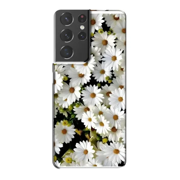 Чехол с рисунком «Рамка в ромашках» для Samsung Galaxy S21 Plus Чехол с рисунком «Рамка в ромашках» для Samsung Galaxy S21 Plus