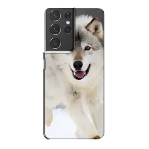 Чехол с Волком на Samsung Galaxy S21 Plus (Волк на снегу)