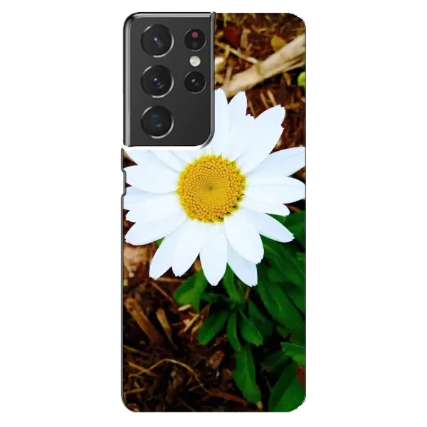 Чехол с рисунком «Белая ромашка» для Samsung Galaxy S21 ultra Чехол с рисунком «Белая ромашка» для Samsung Galaxy S21 ultra