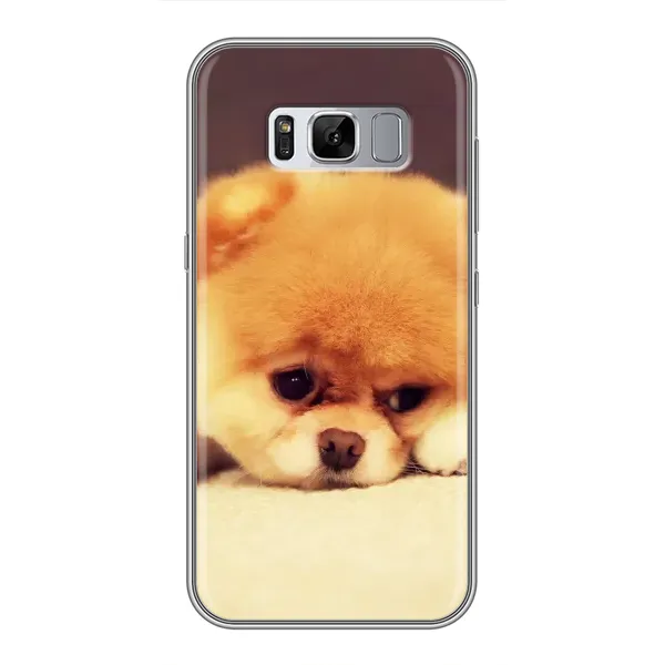 Чехол с рисунком «Померанский шпиц» для Samsung Galaxy S8 Plus (G955) Чехол с рисунком «Померанский шпиц» для Samsung Galaxy S8 Plus (G955)