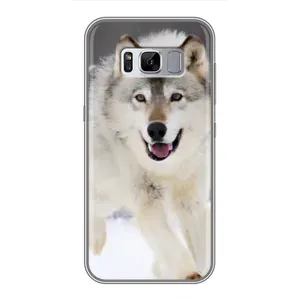Чехол с Волком на Samsung Galaxy S8 Plus, G955 (Волк на снегу)