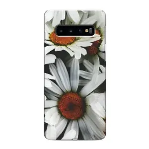 Чехол с ромашками на Samsung Galaxy s10 Plus (Цветы Ромашки)