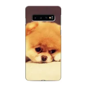 Чохол (ТПУ) Милі песики для Samsung Galaxy s10 Plus (Померанский шпіц)
