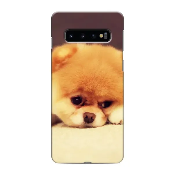 Чехол с рисунком «Померанский шпиц» для Samsung Galaxy s10 Plus Чехол с рисунком «Померанский шпиц» для Samsung Galaxy s10 Plus