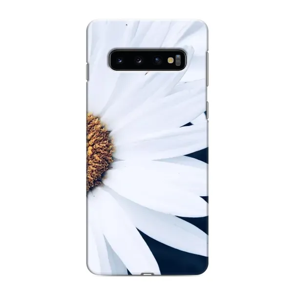 Чехол с рисунком «Пол ромашки» для Samsung Galaxy S10 Чехол с рисунком «Пол ромашки» для Samsung Galaxy S10