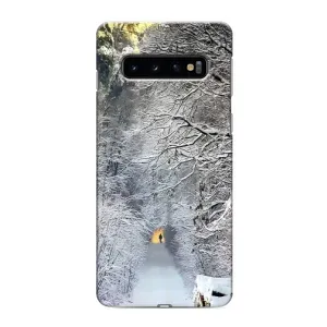 Чохли на Новий Рік Samsung Galaxy S10 (Хурделиця)