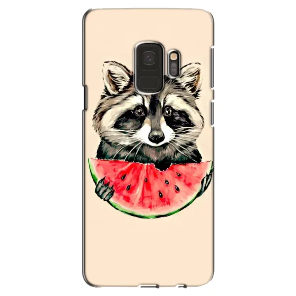 Чехол с рисунком «Енот» для Samsung Galaxy S9 (G960) Чехол с рисунком «Енот» для Samsung Galaxy S9 (G960)