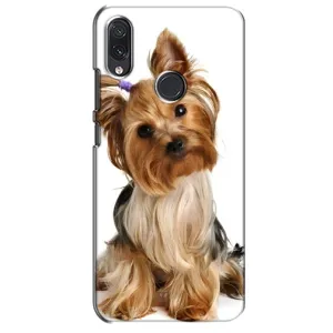 Чохол (ТПУ) Милі песики для Sansung Galaxy M01s (Пес Терьєр)