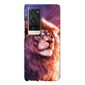 Чехол с картинкой на Vivo X60 Pro Plus (Красочный ЛЕВ)