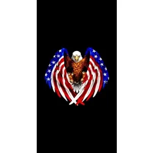Чохол Прапор USA для Xiaomi 11T / 11T Pro (Крила США)
