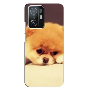 Чехол (ТПУ) Милые собачки для Xiaomi 11T / 11T Pro (Померанский шпиц)