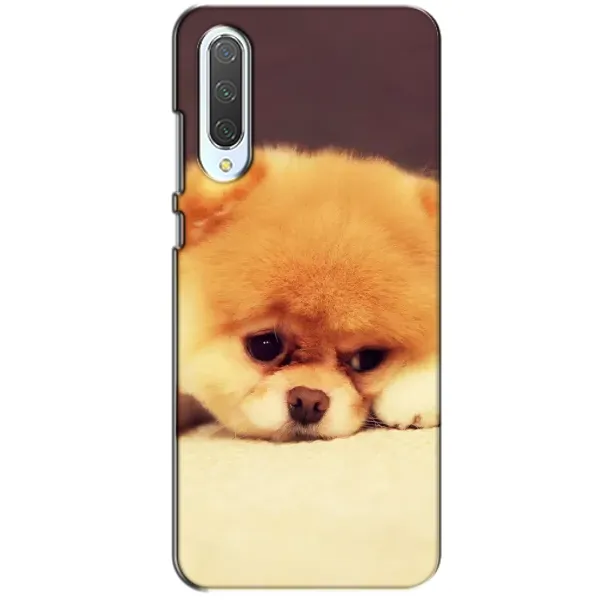 Чехол с рисунком «Померанский шпиц» для Xiaomi CC9 Чехол с рисунком «Померанский шпиц» для Xiaomi CC9