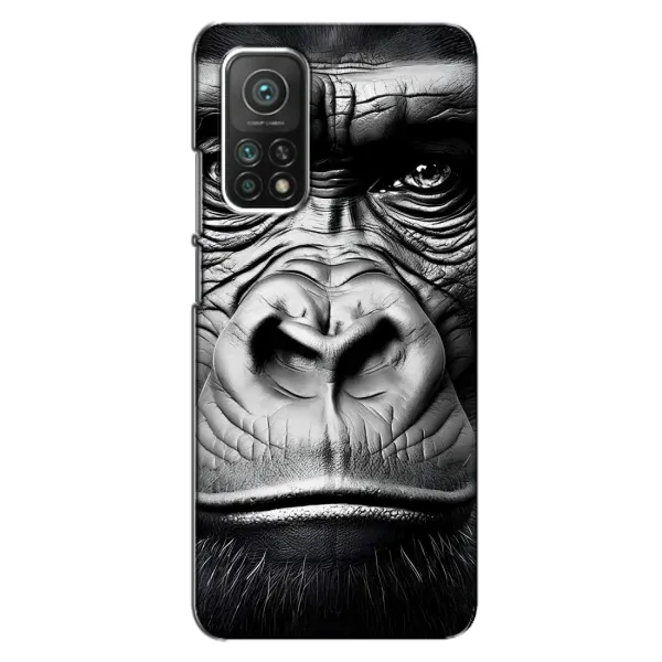 Чехол с рисунком «Черная обезьяна» для Xiaomi Mi 10T Чехол с рисунком «Черная обезьяна» для Xiaomi Mi 10T