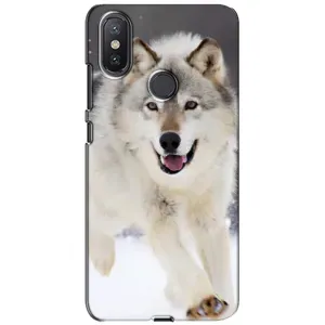Чехол с Волком на Xiaomi Mi A2 Lite (Волк на снегу)