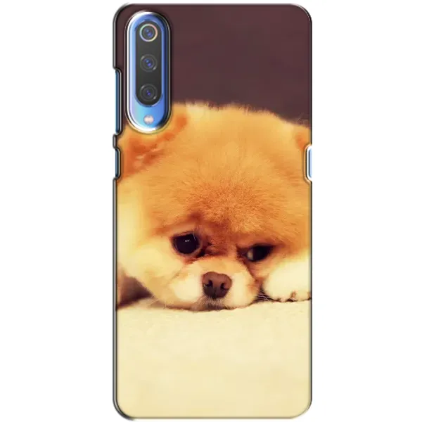 Чехол с рисунком «Померанский шпиц» для Xiaomi Mi 9 Чехол с рисунком «Померанский шпиц» для Xiaomi Mi 9