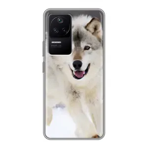 Чехол с Волком на Xiaomi POCO F4 (5G) (Волк на снегу)