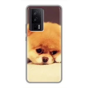 Чохол (ТПУ) Милі песики для Xiaomi POCO F5 Pro (Померанский шпіц)