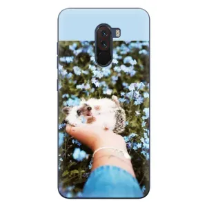 Чохли з зображенням різних тварин на Xiaomi POCO F1 (Їжачок в руці)