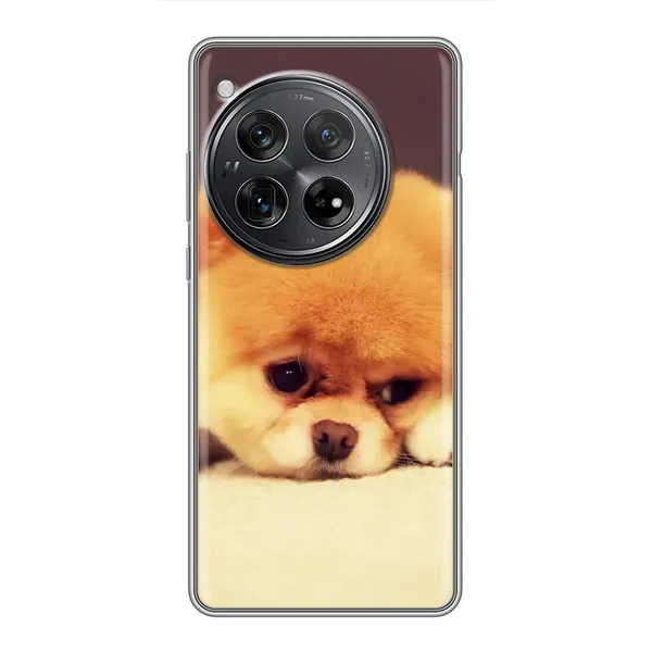 Чехол с рисунком «Померанский шпиц» для Xiaomi Redmi K80 Pro Чехол с рисунком «Померанский шпиц» для Xiaomi Redmi K80 Pro