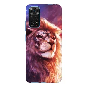 Чохол з картинкою на Xiaomi Redmi Note 11E Pro (Кольоровий ЛЕВ)