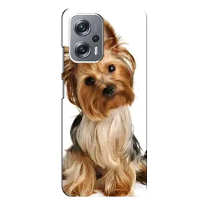 Чехол (ТПУ) Милые собачки для Xiaomi Redmi Note 12 Pro Plus (Собака Терьер)