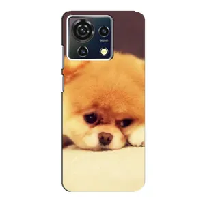 Чехол (ТПУ) Милые собачки для ZTE Blade V50 Vita (Померанский шпиц)