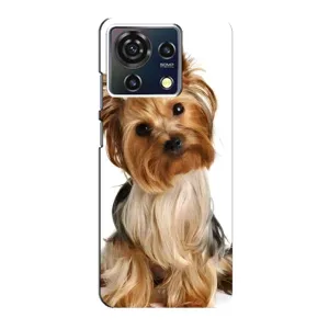 Чехол (ТПУ) Милые собачки для ZTE Blade V50 Vita (Собака Терьер)