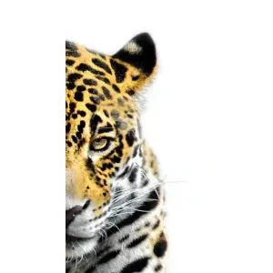 Чехлы с изображением разных животных для ZTE V2020 Smart (Стильный Леопард)